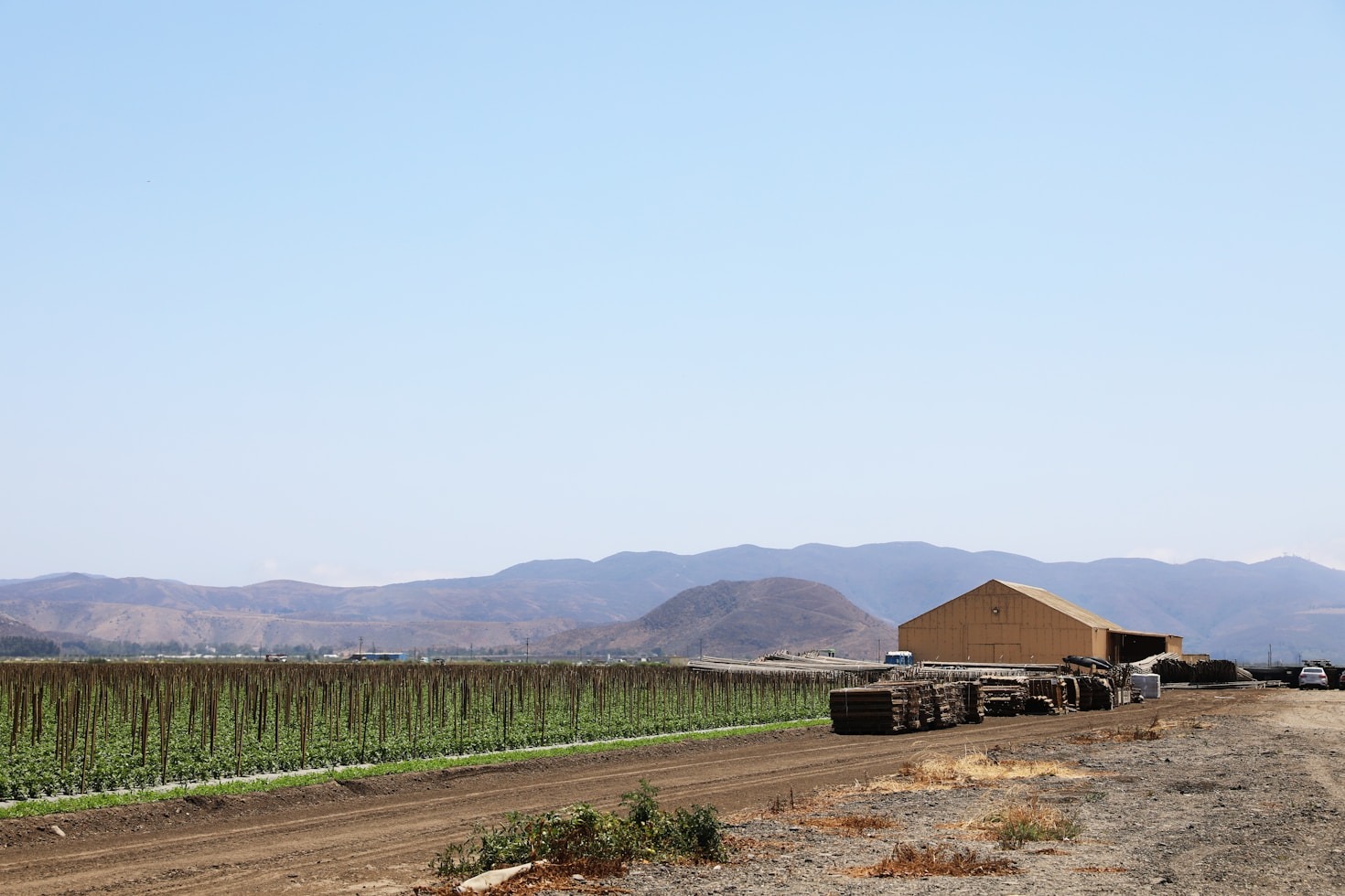 GreenTech Innovations: A Look Into the Future
