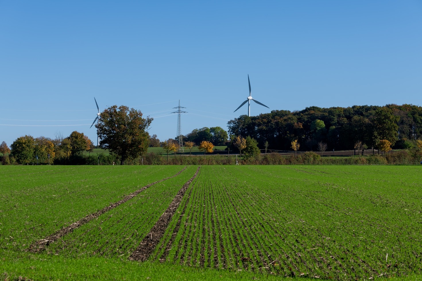 Agrilink India: A Leader in Agricultural Trade