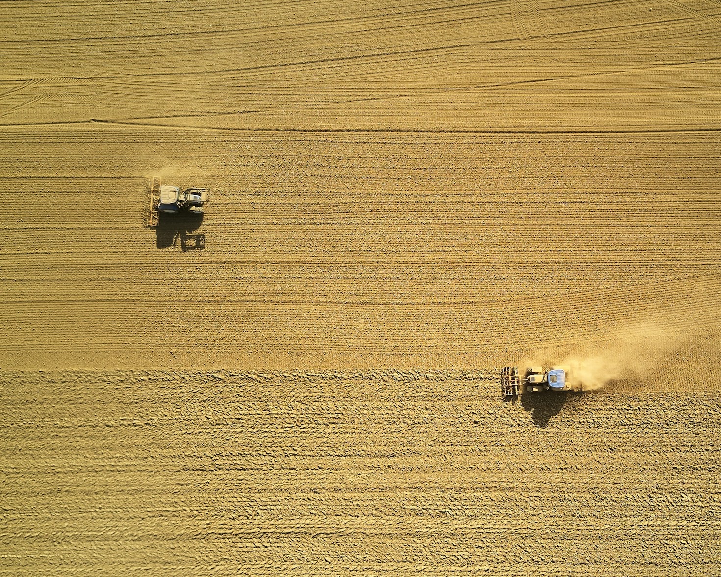 Export Strategies for a Greener Tomorrow